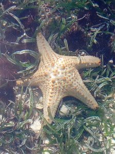 img_20180714_113333 copy